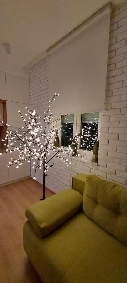 Apartment Ana, Vracar,